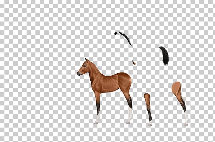 Mustang Foal Colt Stallion Mare PNG, Clipart, Animal Figure, Bridle, Colt, Foal, Halter Free PNG Download