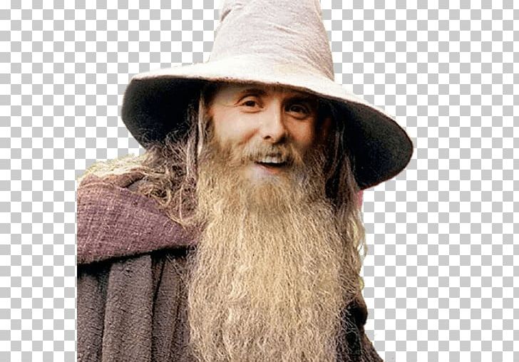 Peter Jackson Gandalf The Lord Of The Rings: The Fellowship Of The Ring The Hobbit Saruman PNG, Clipart, Beard, Facial Hair, Film, Gandalf, Hair Free PNG Download