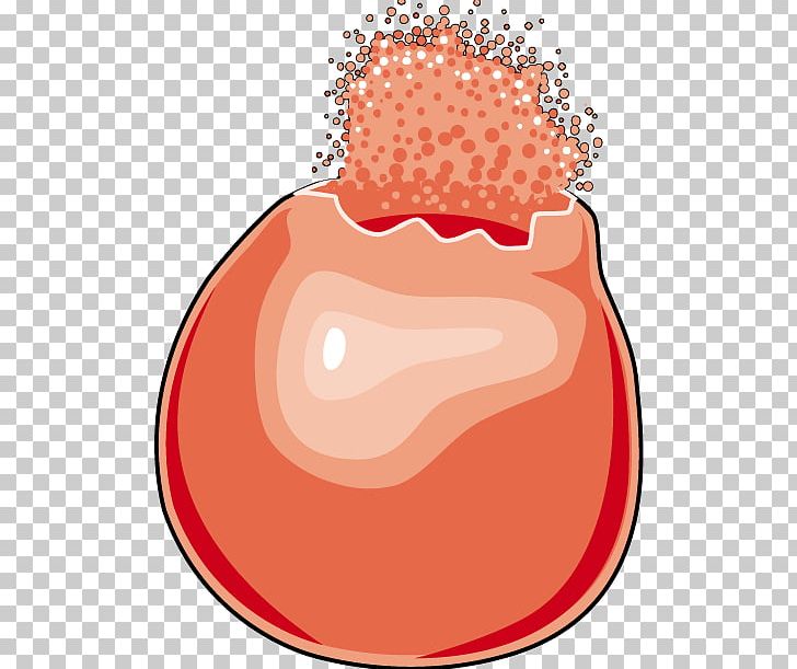 Red Blood Cell Lysis PNG, Clipart, Blood, Blood Cell, Cell, Circulatory System, Eritroblast Free PNG Download