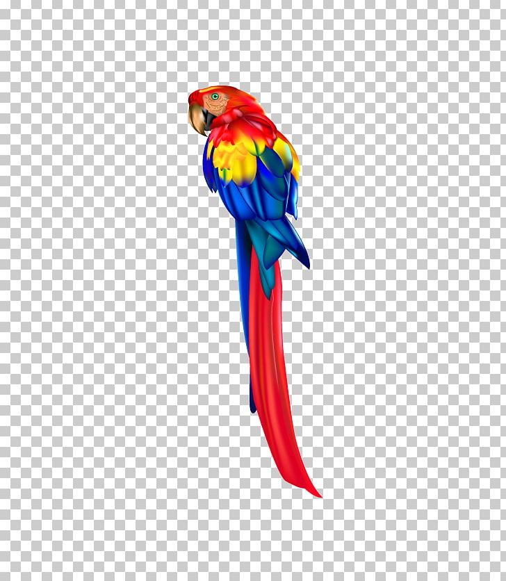 Parrot Bird Macaw PNG, Clipart, Animal, Animals, Beak, Bird Food, Drawing Free PNG Download