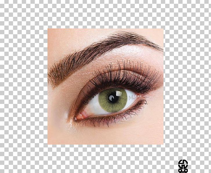 Eyebrow Eyelash Extensions Threading Permanent Makeup PNG, Clipart, Artificial Hair Integrations, Beauty Parlour, Closeup, Color, Cosmetics Free PNG Download