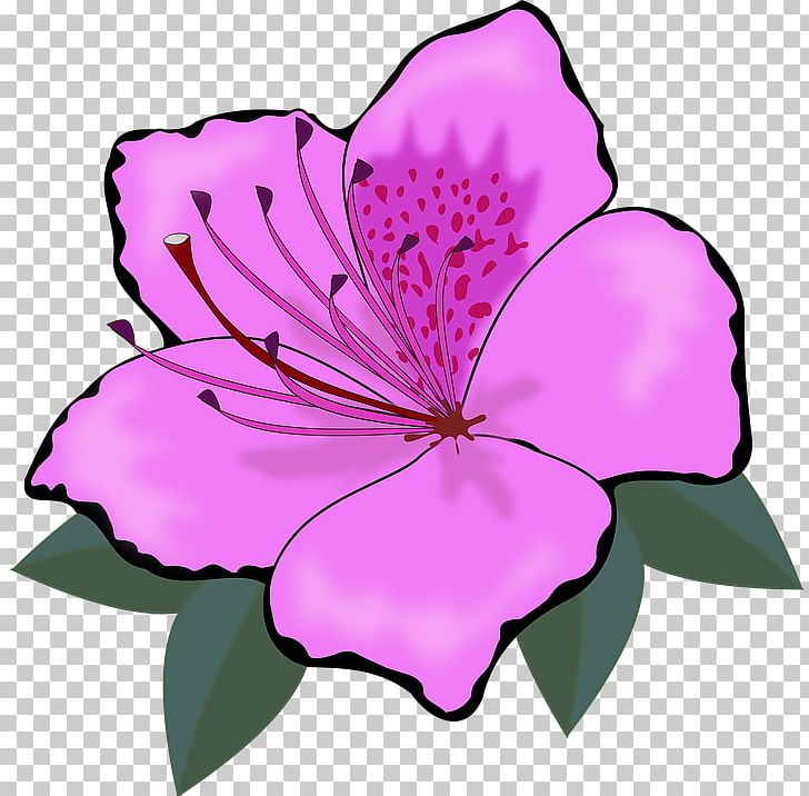 Flower PNG, Clipart, Annual Plant, Cut Flowers, Desktop Wallpaper, Flora, Floral Design Free PNG Download