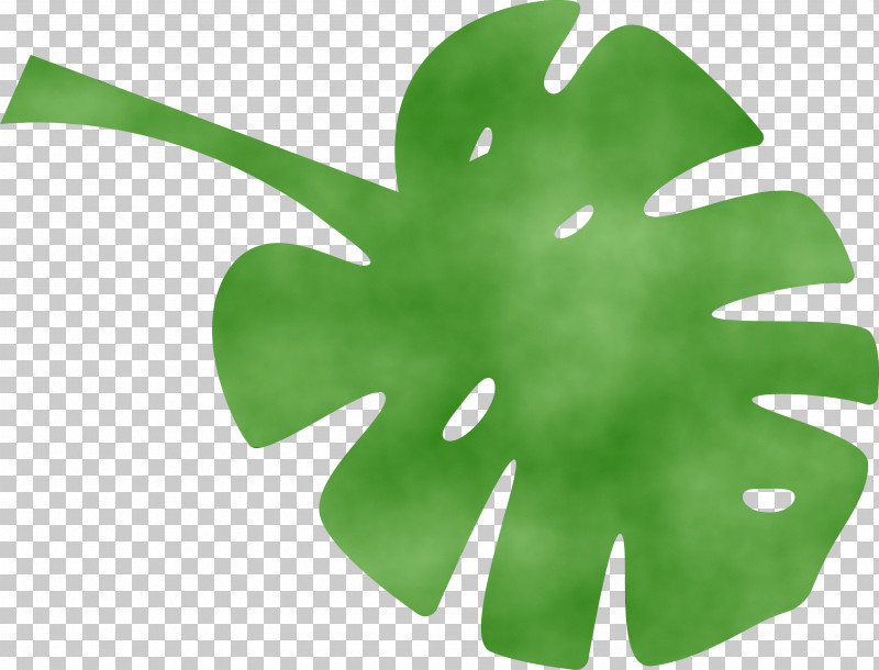Leaf Plant Stem Green M-tree Tree PNG, Clipart, Biology, Green, Leaf, Mtree, Paint Free PNG Download