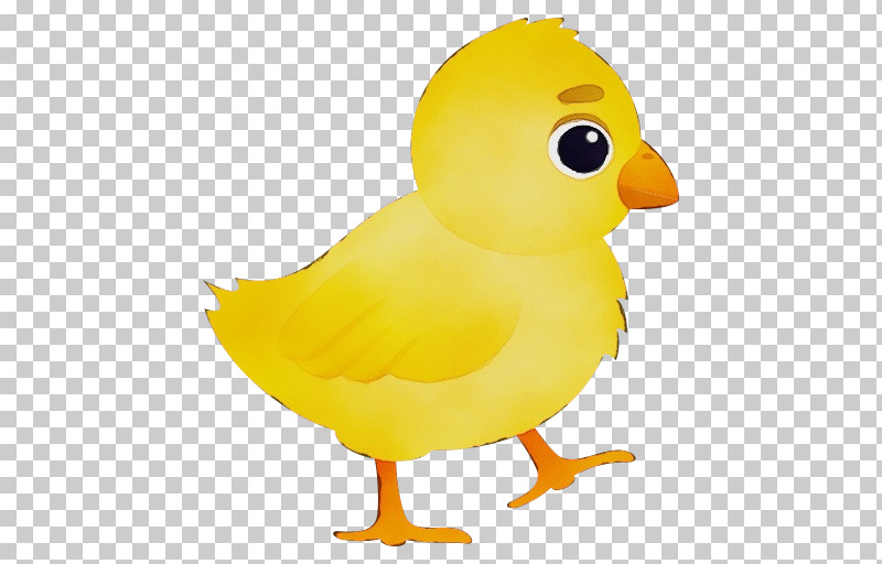 Birds Duck Beak Water Bird Yellow PNG, Clipart, Beak, Biology, Birds, Duck, Paint Free PNG Download