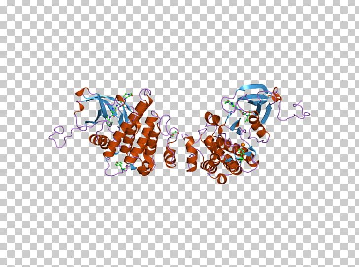 ABL2 Oncogene Protein PNG, Clipart, Abl, Arg, Art, Bms, Body Jewelry Free PNG Download