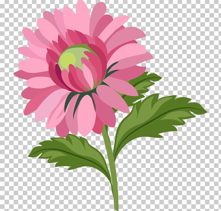 Drawing PNG, Clipart, Annual Plant, Art, Aster, Can Stock Photo, Chrysanths Free PNG Download