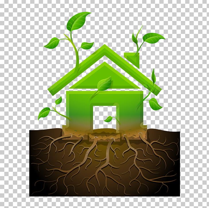 House Green Home Root Illustration PNG, Clipart, Advertising Design, Architecture, Background Green, Boy Cartoon, Building Free PNG Download