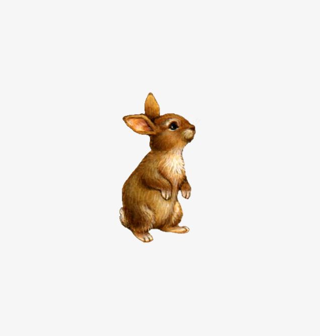 Cute Little Stuffed Bunny PNG, Clipart, Animal, Animal Material, Bunnies, Bunny Clipart, Bunny Clipart Free PNG Download