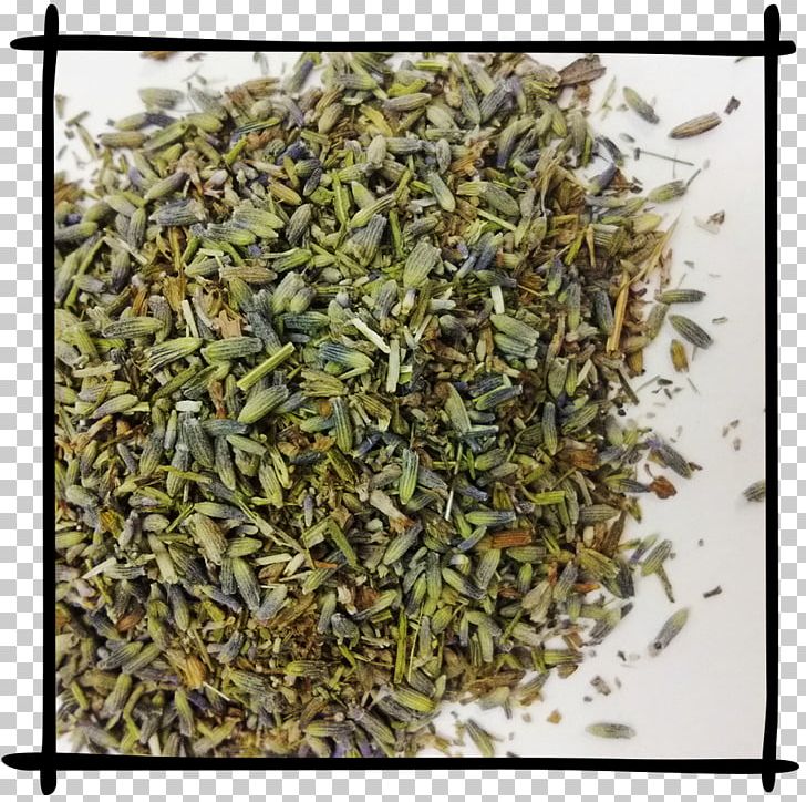 Hōjicha Nilgiri Tea Green Tea Golden Monkey Tea PNG, Clipart, Almond, Assam Tea, Bai Mudan, Biluochun, Caffeine Free PNG Download