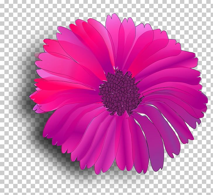 Pink Flowers Computer Icons PNG, Clipart, Annual Plant, Aster, Common Daisy, Computer Icons, Cut Flowers Free PNG Download