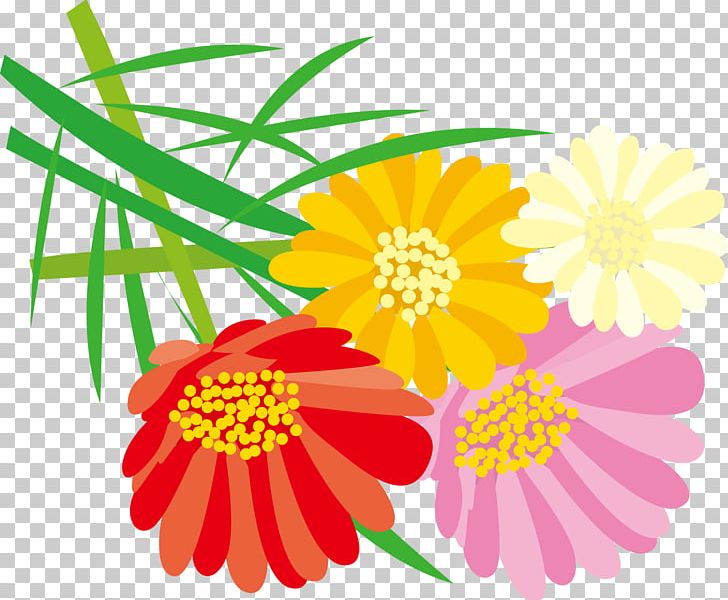 Flower . PNG, Clipart, Annual Plant, Chamaemelum Nobile, Chrysanths, Copyrightfree, Cut Flowers Free PNG Download