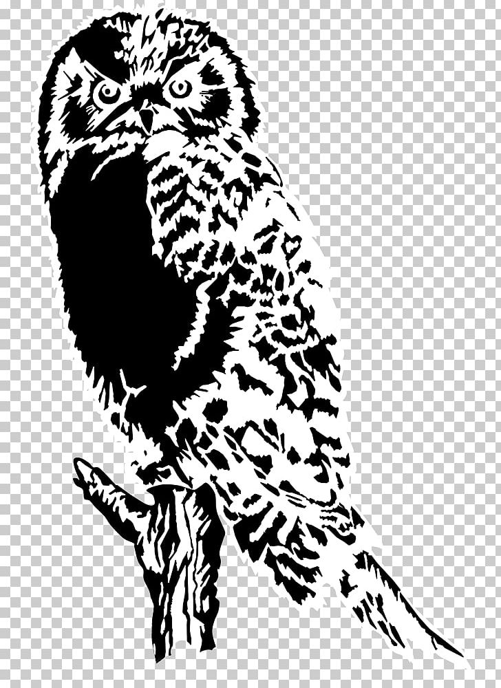 Owl Black And White Bird PNG, Clipart, Animal, Art, Beak, Big Cats, Bird Free PNG Download