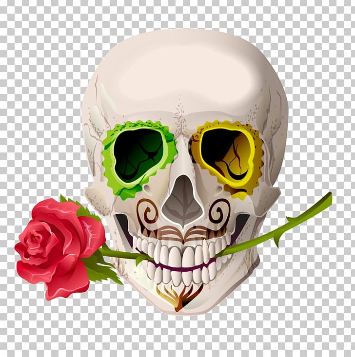 Skull Cinco De Mayo Euclidean Illustration PNG, Clipart, Bone, Cranial Skeleton Head, Day Of The Dead, Eyewear, Fantasy Free PNG Download