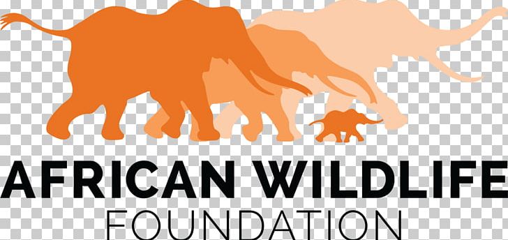 African Wildlife Foundation Organization Elephant PNG, Clipart, Bra, Carnivoran, Cattle Like Mammal, Conservation, Dog Like Mammal Free PNG Download