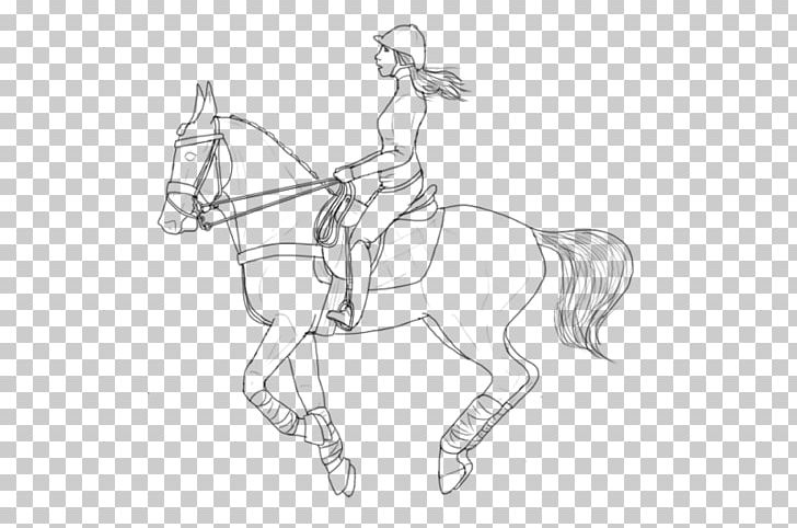 American Paint Horse Pony Line Art Horse Tack Rearing PNG, Clipart, Arm, Artwork, Bit, Black And White, Bridle Free PNG Download