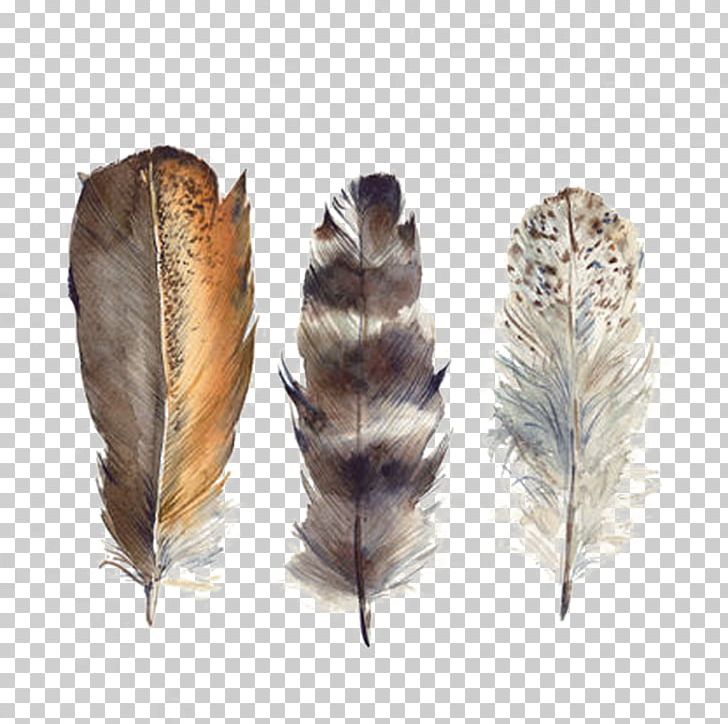Bird Feather Drawing Watercolor Painting PNG, Clipart, Animals, Arrow, Art, Bird, China Painting Free PNG Download