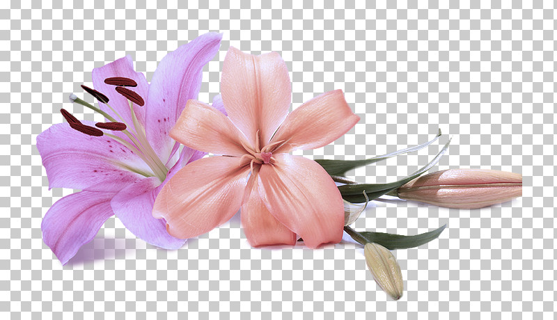 Artificial Flower PNG, Clipart, Artificial Flower, Ceramic, Ceramic Flower Vase, Ceramic Vase Set, Cut Flowers Free PNG Download