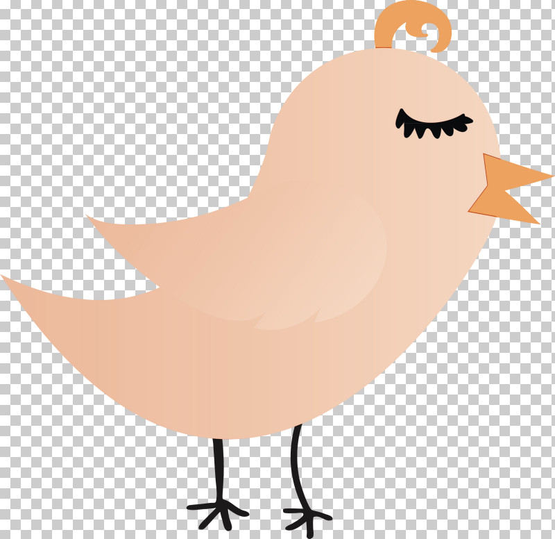 Bird Beak PNG, Clipart, Beak, Bird, Cartoon Bird, Cute Bird, Paint Free PNG Download