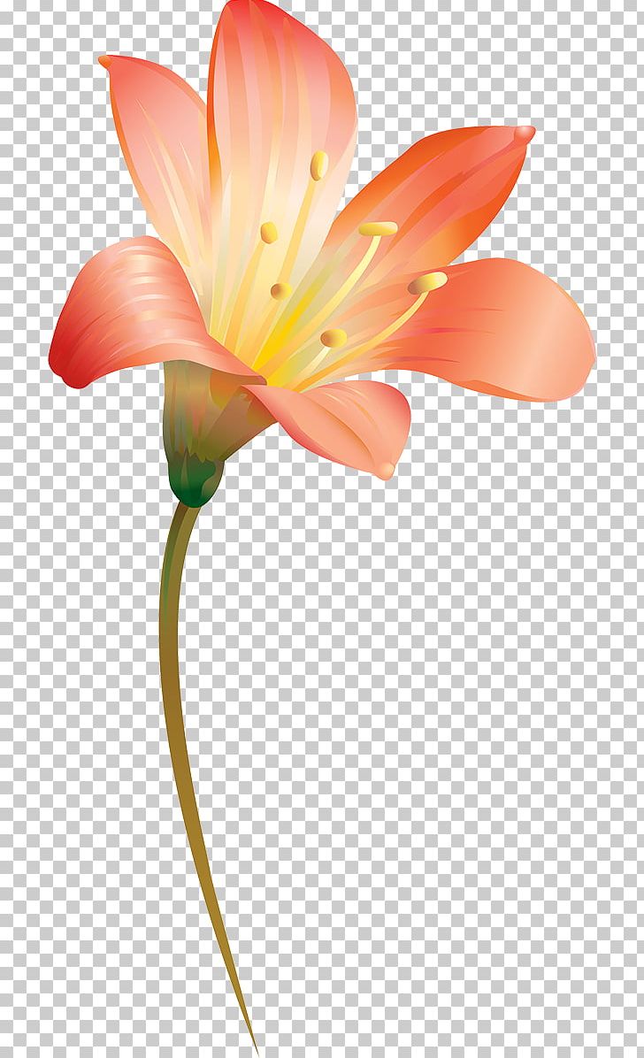Alstroemeriaceae Cut Flowers Plant Stem Close-up PNG, Clipart, Alstroemeriaceae, Cicek, Closeup, Cut Flowers, Flora Free PNG Download