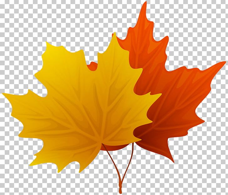 Leaf PNG, Clipart, Autumn, Autumn Leaf Color, Clip Art, Clipart, Decorative Free PNG Download