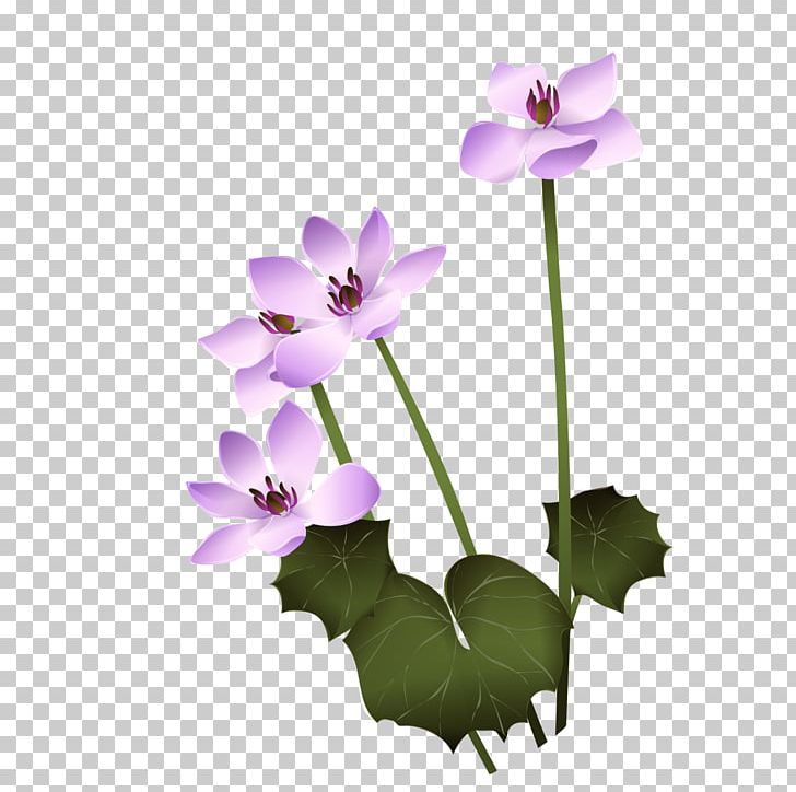 Flower PNG, Clipart, Art, Bloom, Blooming, Creative, Creative Flower Free PNG Download