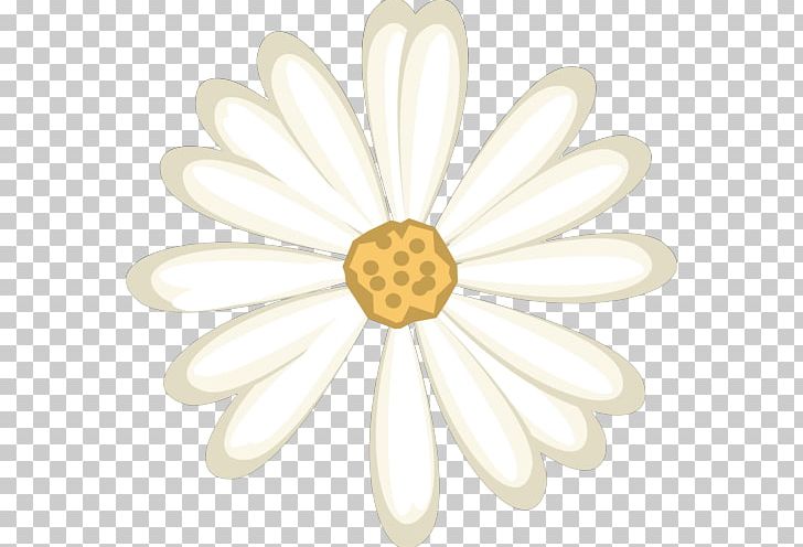 Gästehaus Haas Mondsee Child Guest House Accommodation PNG, Clipart, Accommodation, Child, Cut Flowers, Daisy, Daisy Family Free PNG Download