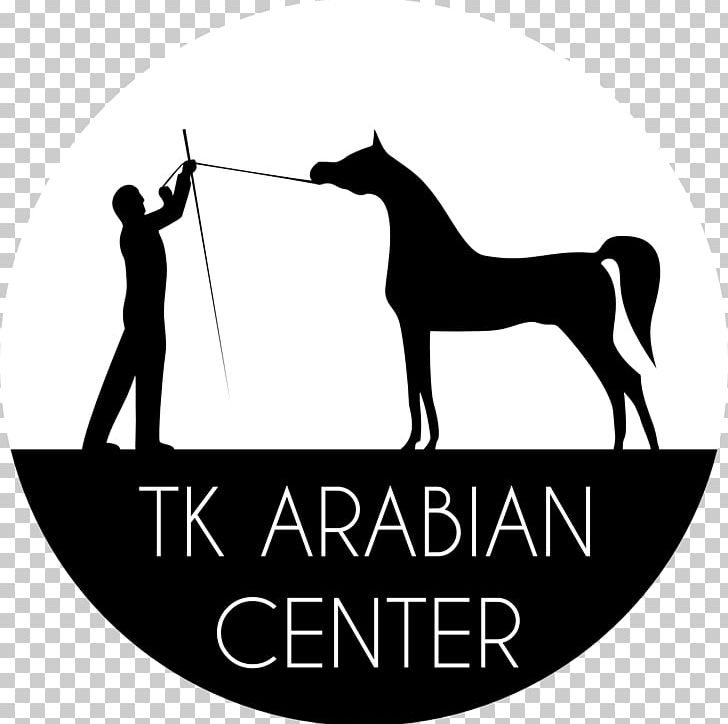 W. K. Kellogg Arabian Horse Center Mustang Stallion Colt PNG, Clipart, Animal Husbandry, Arabian, Arabian Horse, Black And White, Brand Free PNG Download