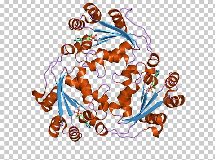 NME1-NME2 NM23-LV Nucleoside-diphosphate Kinase Art PNG, Clipart, Area, Art, Art Museum, Domain, Ebi Free PNG Download