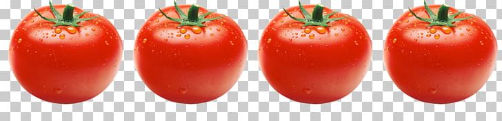 Plum Tomato Food Bush Tomato Malagueta Pepper PNG, Clipart, Bell Pepper, Bell Peppers And Chili Peppers, Book, Bush Tomato, Chili Pepper Free PNG Download