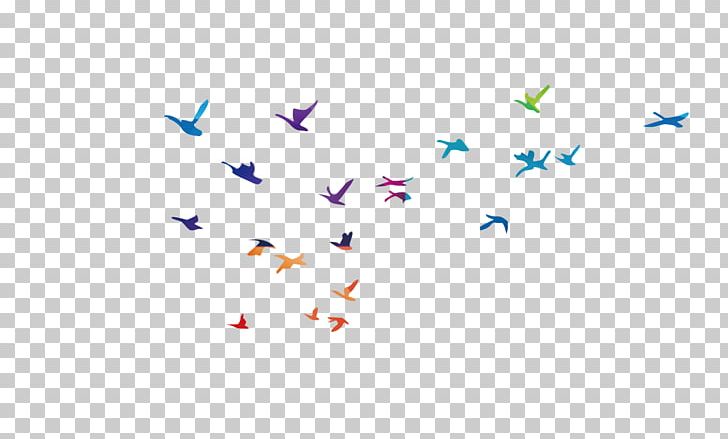 Bird Flight Common Gull PNG, Clipart, Angle, Animals, Bird, Bird Cage, Bird Flight Free PNG Download