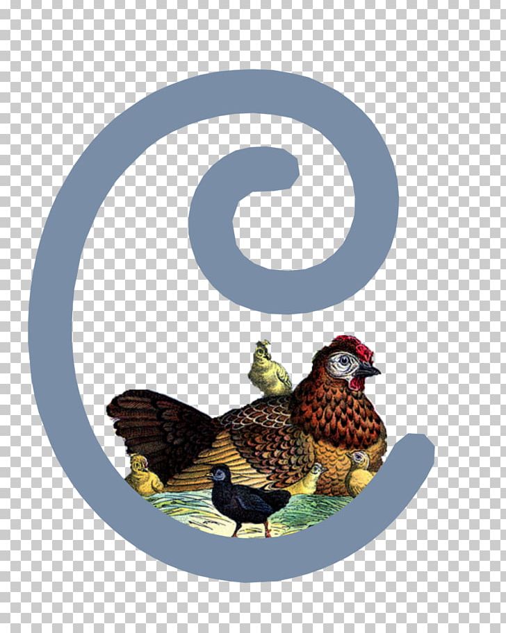 Book Of Mormon Rooster The Church Of Jesus Christ Of Latter-day Saints Mormonism Chicken PNG, Clipart, Animals, Beak, Bird, Book Of Mormon, Chicken Free PNG Download