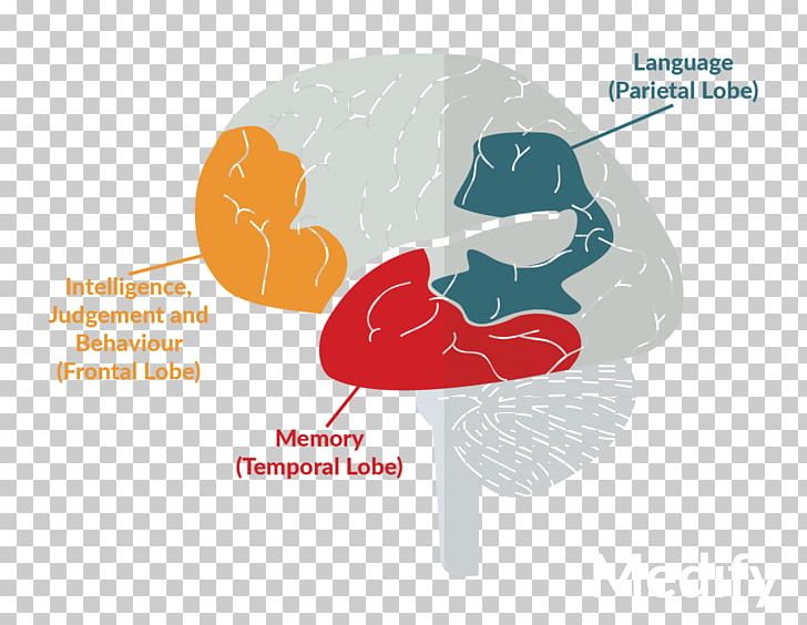 Brand Brain PNG, Clipart, Brain, Brand, Carbohydrates, Disease, Healthy Diet Free PNG Download
