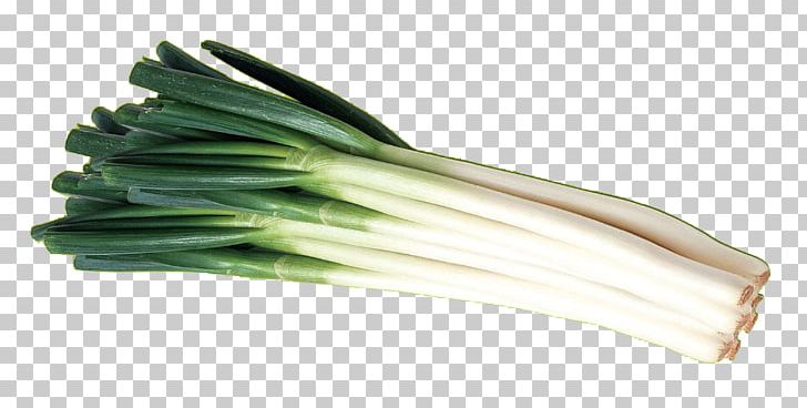 Zhangqiu District Qingdao Allium Fistulosum Peking Duck Vegetable PNG, Clipart, Background Green, Food, Fresh, Green, Green Apple Free PNG Download