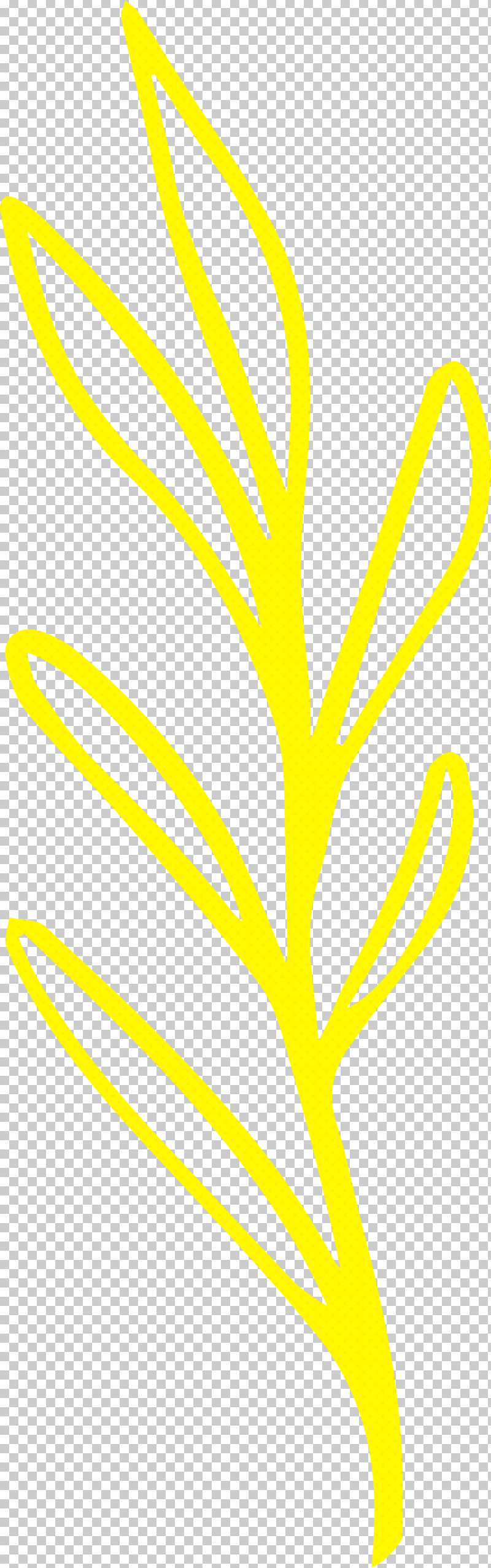 Simple Leaf Simple Leaf Drawing Simple Leaf Outline PNG, Clipart, Angle, Area, Biology, Flower, Leaf Free PNG Download