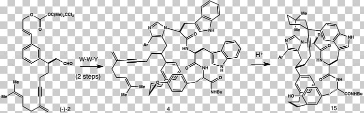 Estrogen Receptor Beta /m/02csf Chemical Compound Benzopyran PNG, Clipart, Angle, Auto Part, Benzopyran, Black And White, Chemical Compound Free PNG Download