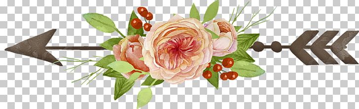 Garden Roses Drawing PNG, Clipart, Arrow Logo, Bow And Arrow, Cut Flowers, Feather, Flora Free PNG Download