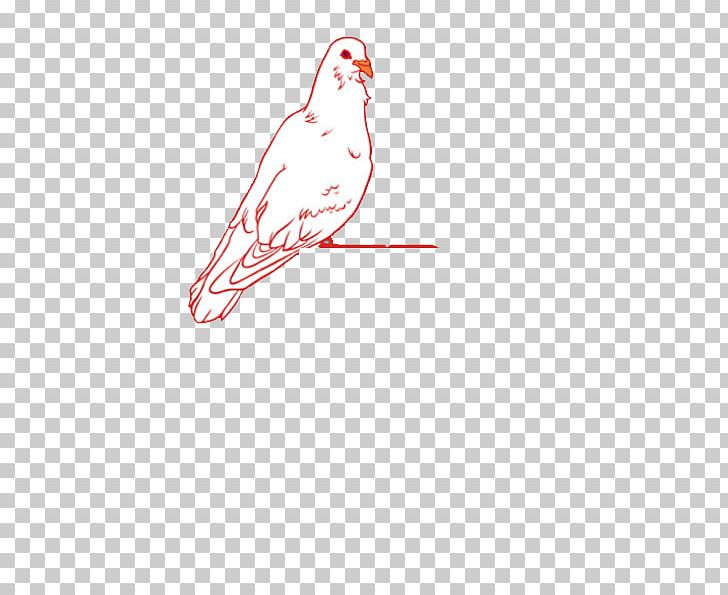 Google S Illustration PNG, Clipart, Adobe Illustrator, Animals, Area, Beak, Bird Free PNG Download