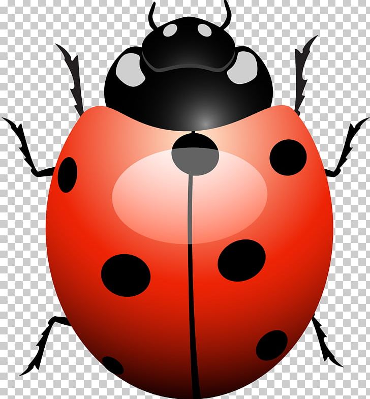 Ladybird Beetle Software Bug Software Testing PNG, Clipart, Animals, Artwork, Beetle, Computer Software, Fault Free PNG Download
