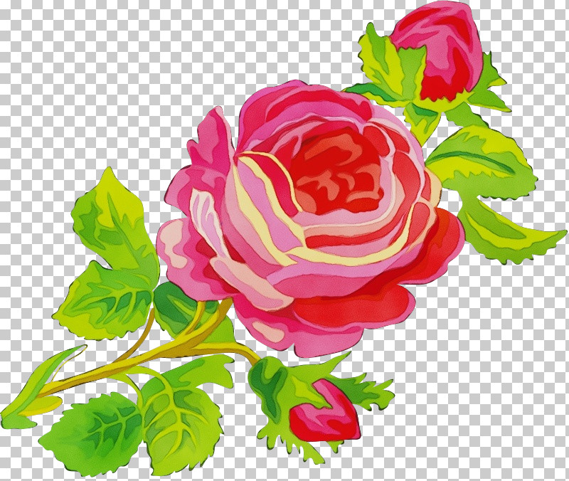Garden Roses PNG, Clipart, Artificial Flower, Cut Flowers, Floribunda, Flower, Garden Roses Free PNG Download