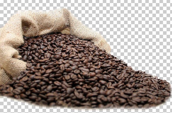 Coffee Tea Fizzy Drinks Latte Cafe PNG, Clipart, Arabica Coffee, Burr Mill, Cafe, Coffee, Coffee Bean Free PNG Download