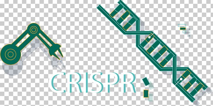 CRISPR Cas9 Genome Editing Do-it-yourself Biology Science PNG, Clipart, 2 Nd, Angle, Area, Biology, Brand Free PNG Download