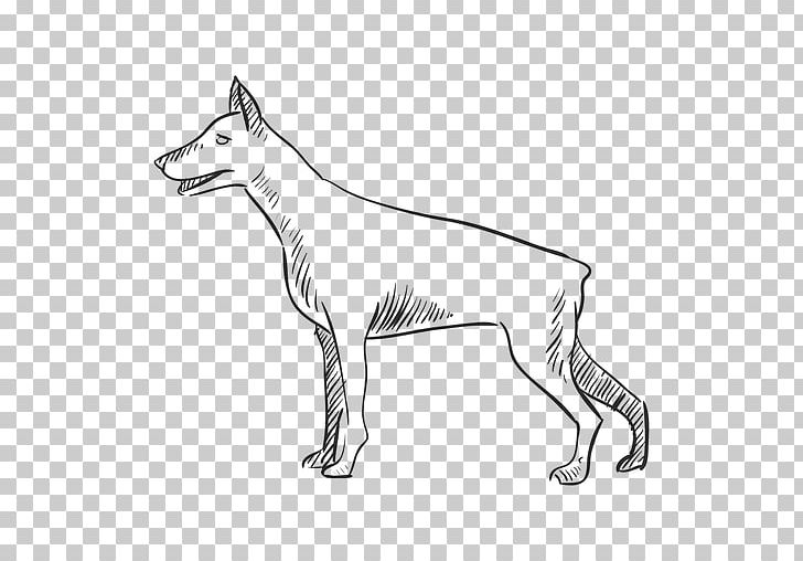 Dog Breed African Wild Dog Dhole PNG, Clipart, African Wild Dog, Animals, Artwork, Black And White, Carnivoran Free PNG Download