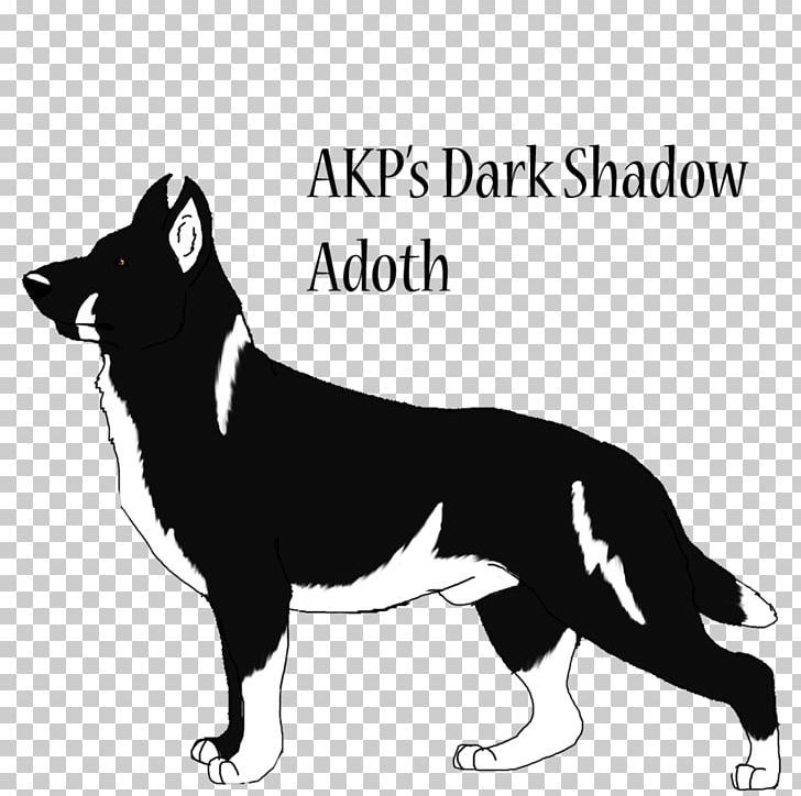 Dog Breed Karelian Bear Dog Whiskers PNG, Clipart, Akp, Animals, Bear, Black, Black And White Free PNG Download