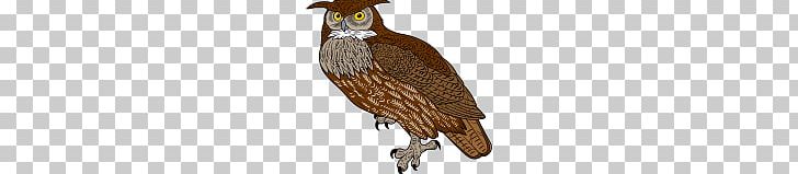 Great Horned Owl Bird Of Prey PNG, Clipart, Barred Owl, Beak, Bird, Bird Of Prey, Eagle Free PNG Download