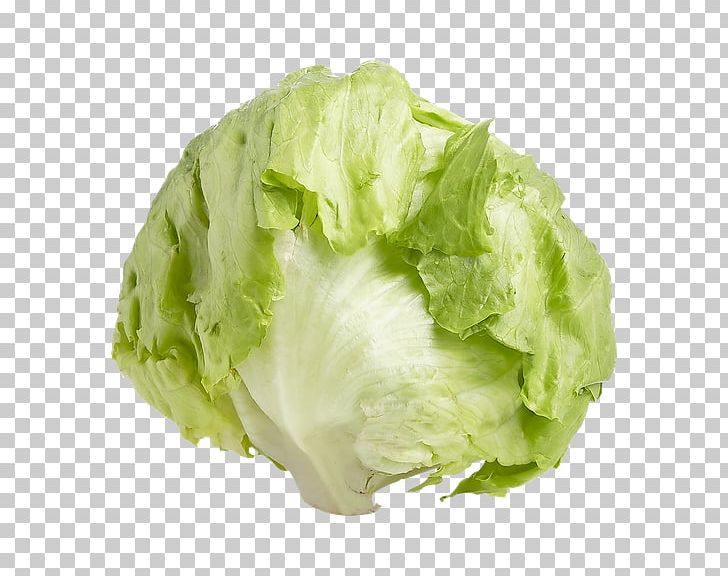 Romaine Lettuce Iceberg Lettuce Endive Leaf Vegetable PNG, Clipart, Cabbage, Capitata Group, Chicory, Cruciferous Vegetables, Each Free PNG Download