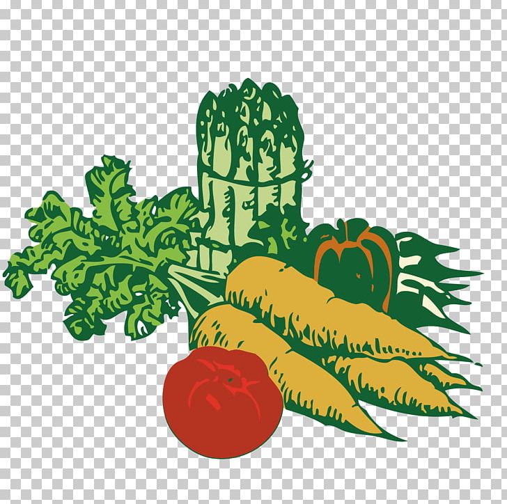 Vegetable Gardening PNG, Clipart, Art, Art Deco, Carrot, Clip Vector, Food Free PNG Download