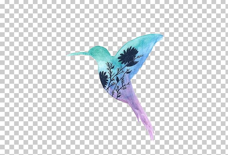 Anna's Hummingbird Watercolor Painting PNG, Clipart,  Free PNG Download