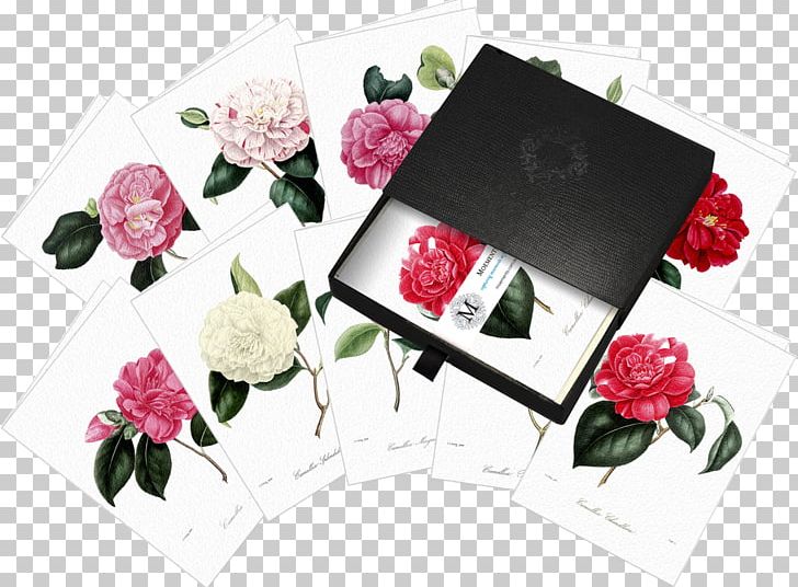 Garden Roses Chakra Noir Floral Design Cut Flowers PNG, Clipart, Art, Artificial Flower, Cut Flowers, Exquisite Gift Box, Flora Free PNG Download