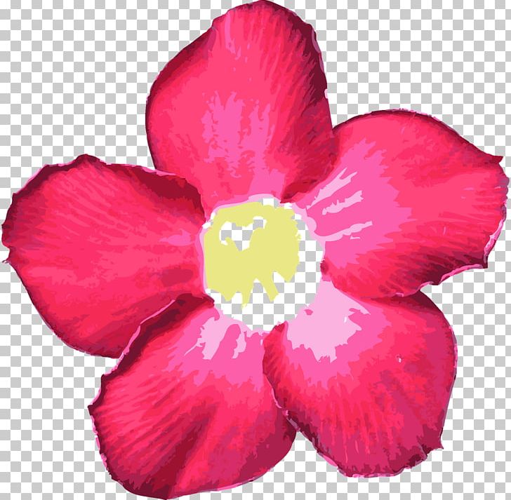 Petal Flower Mallows PNG, Clipart, Data, Display Resolution, Flower, Flowering Plant, Herbaceous Plant Free PNG Download