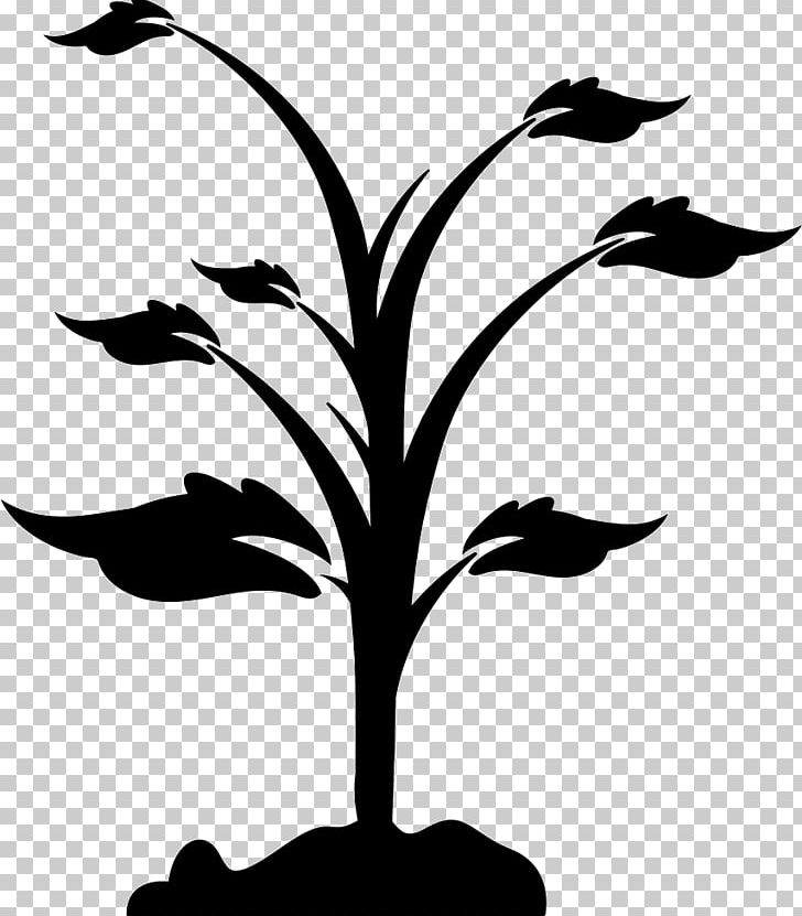 Computer Icons Tree PNG, Clipart, Artwork, Black And White, Branch, Computer Icons, Download Free PNG Download